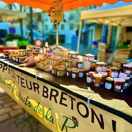 Marnelly Maison 4 Adultes Et 1 Enfants Avec Jardin Privatif Expose Sud Vakantiehuis Ploemeur